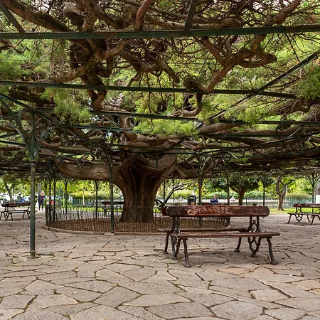 Апарт-отель My Serviced - Principe Real 4*