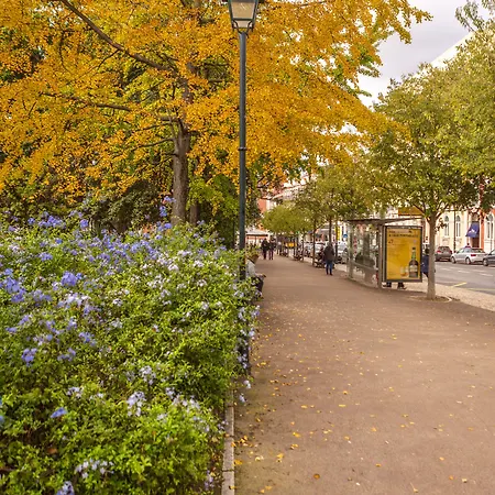 My Serviced - Principe Real Лиссабон