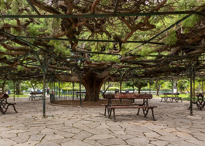 Appart hôtel My Serviced - Principe Real 4*